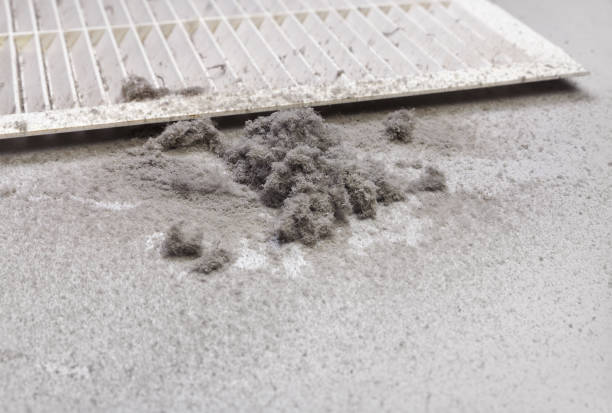 Best Affordable Air Duct Cleaning  in Wayne, WV