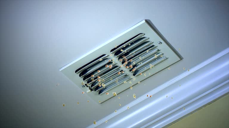 Best Air Duct Mold Removal  in Wayne, WV