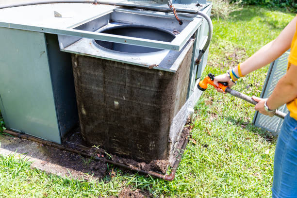 Best Home Air Vent Cleaning  in Wayne, WV