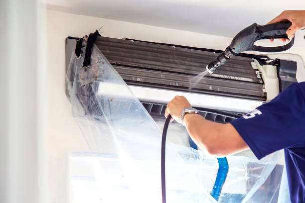 Best Air Vent Cleaning Services  in Wayne, WV