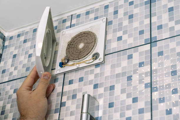 Best Local Air Duct Cleaning Services  in Wayne, WV