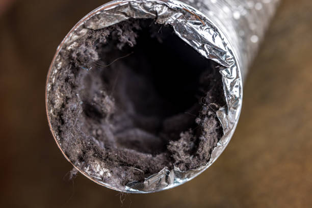 Best Residential Air Duct Cleaning  in Wayne, WV