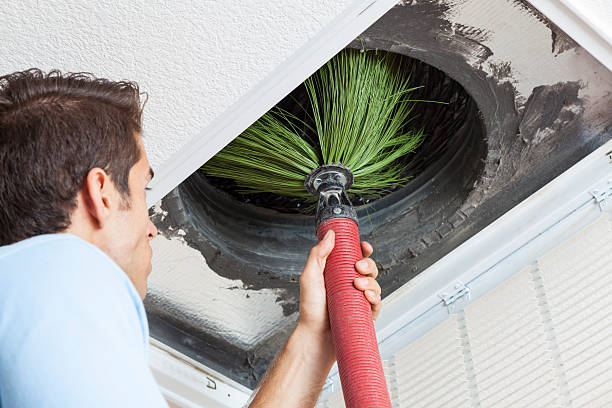 Best Air Duct Cleaning Near Me  in Wayne, WV